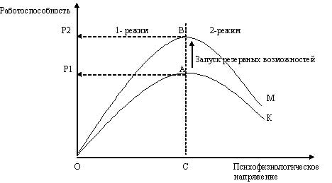 article218708.jpg