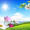 beautiful-backgrounds-summer-wallpaper-background-scenery-flowers-zkqve-wallpapers-high-definition-wallpaper.jpg